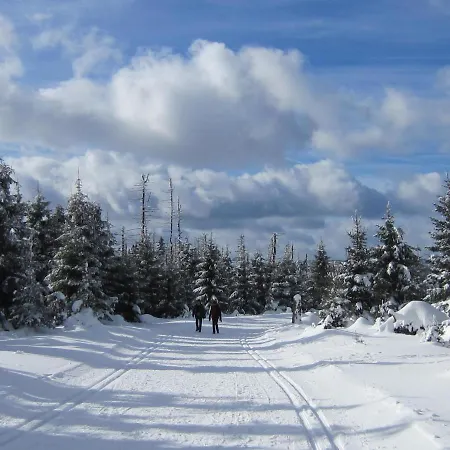 Kleiner Auerhahn Braunlage